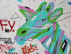 Expertise associations & secteur non marchand